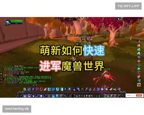 魔兽世界小地图透明度调试攻略